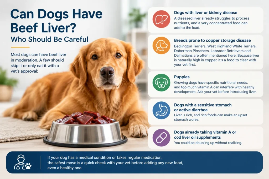 Can Dogs Have Beef Liver? Who Should Be Careful 